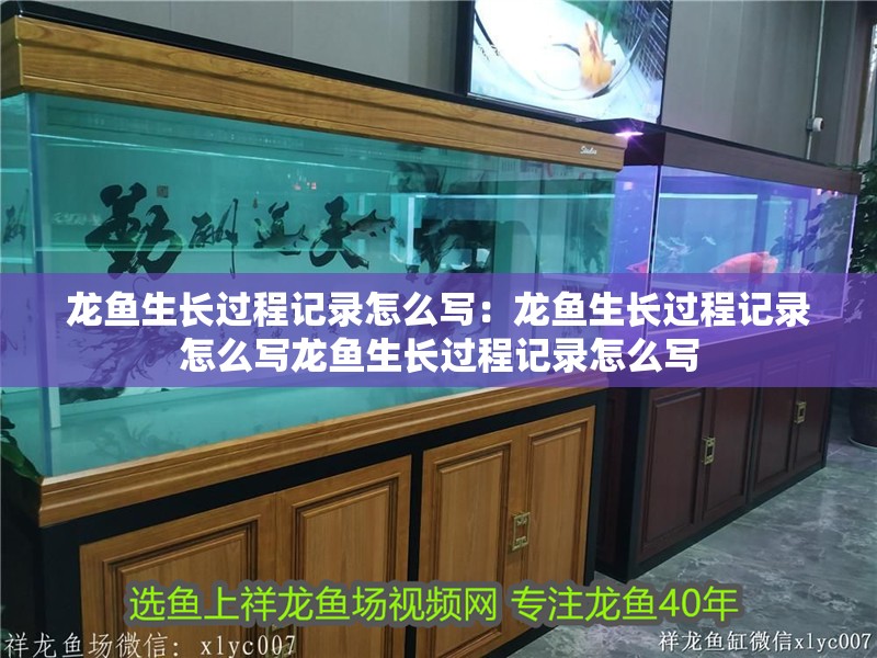 龍魚生長過程記錄怎么寫：龍魚生長過程記錄怎么寫龍魚生長過程記錄怎么寫