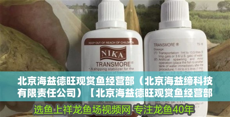 北京海益德旺觀賞魚(yú)經(jīng)營(yíng)部（北京海益締科技有限責(zé)任公司）【北京海益德旺觀賞魚(yú)經(jīng)營(yíng)部和北京海益締科技有限責(zé)任公司是什么】