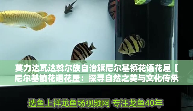 莫力達瓦達斡爾族自治旗尼爾基鎮花語花屋【尼爾基鎮花語花屋：探尋自然之美與文化傳承】