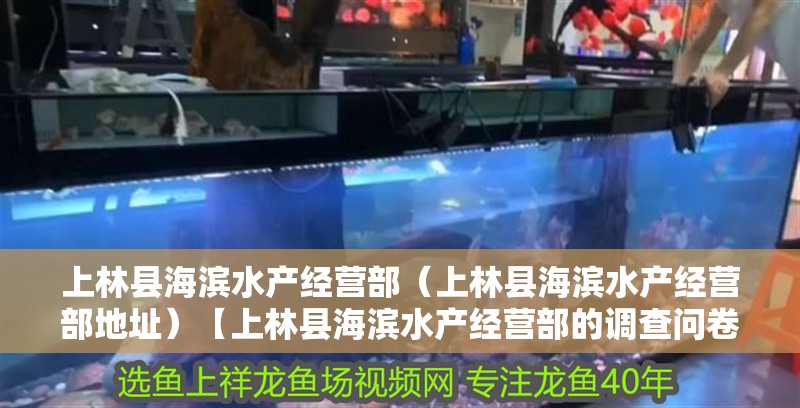 <strong><mark>上林</mark></strong>縣海濱水產經營部（<strong><mark>上林</mark></strong>縣海濱水產經營部地址）【<strong><mark>上林</mark></strong>縣海濱水產經營部的調查問卷】