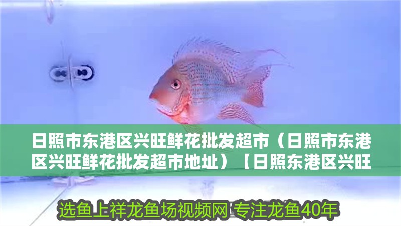 日照市東港區(qū)興旺鮮花批發(fā)超市（日照市東港區(qū)興旺鮮花批發(fā)超市地址）【日照東港區(qū)興旺鮮花批發(fā)超市】