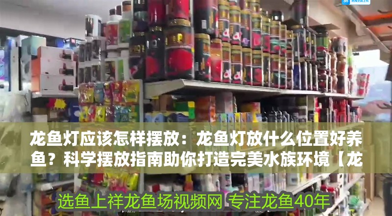 龍魚燈應(yīng)該怎樣擺放：龍魚燈放什么位置好養(yǎng)魚？科學擺放指南助你打造完美水族環(huán)境【龍魚燈擺放位置】