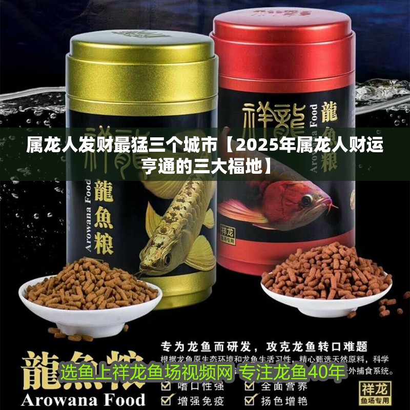 屬龍人發財最猛三個城市【2025年屬龍人財運亨通的三大福地】