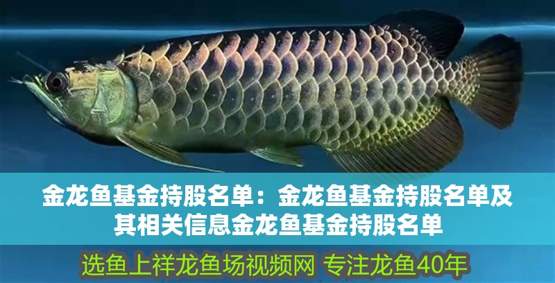 金龍魚基金持股名單：金龍魚基金持股名單及其相關信息金龍魚基金持股名單