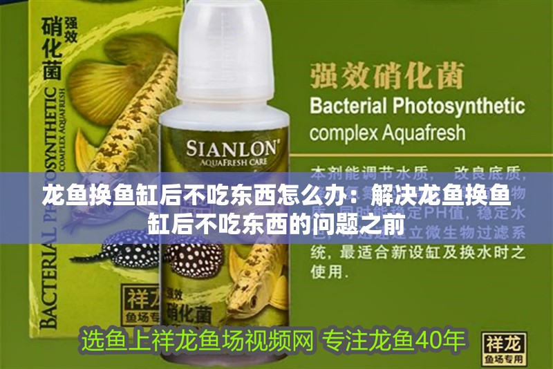龍魚換魚缸后不吃東西怎么辦：解決龍魚換魚缸后不吃東西的問題之前