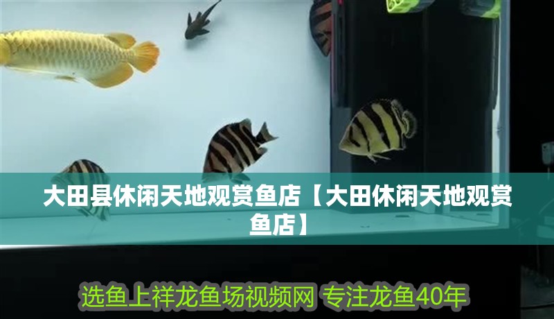 大田縣休閑天地觀賞魚店【大田休閑天地觀賞魚店】