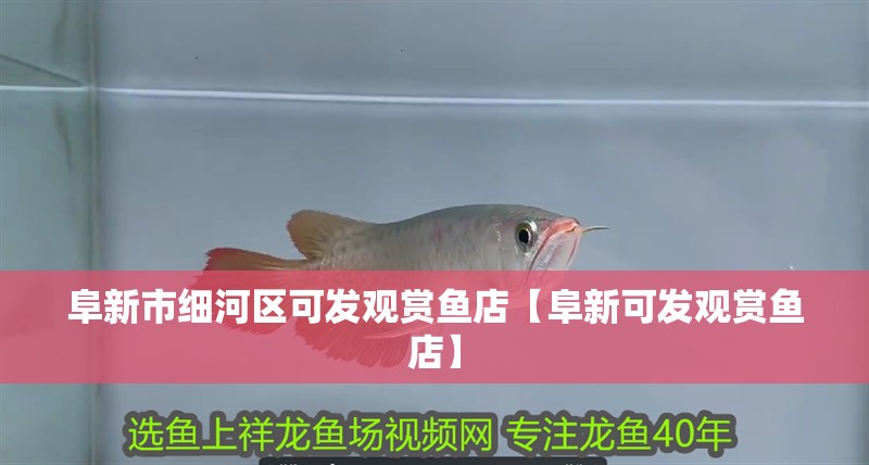 阜新市細河區可發觀賞魚店【阜新可發觀賞魚店】