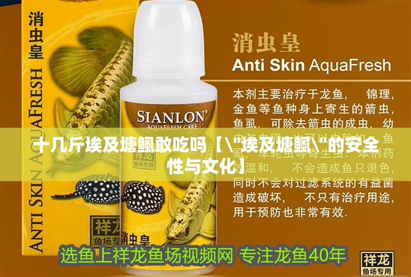 十幾斤埃及塘鲺敢吃嗎【\