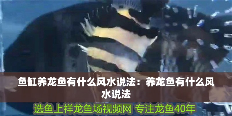 魚缸養(yǎng)龍魚有什么風(fēng)水說法：養(yǎng)龍魚有什么風(fēng)水說法