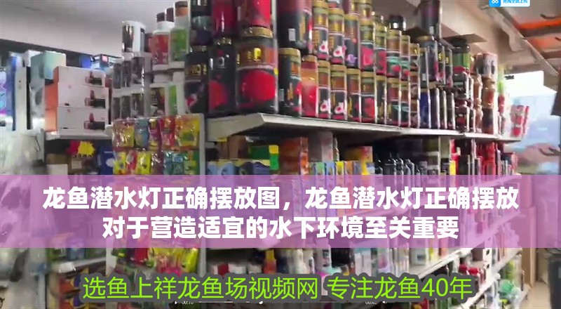龍魚潛水燈正確擺放圖，龍魚潛水燈正確擺放對于營造適宜的水下環境至關重要