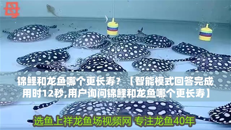 錦鯉和龍魚哪個更長壽？【智能模式回答完成用時12秒,用戶詢問錦鯉和龍魚哪個更長壽】