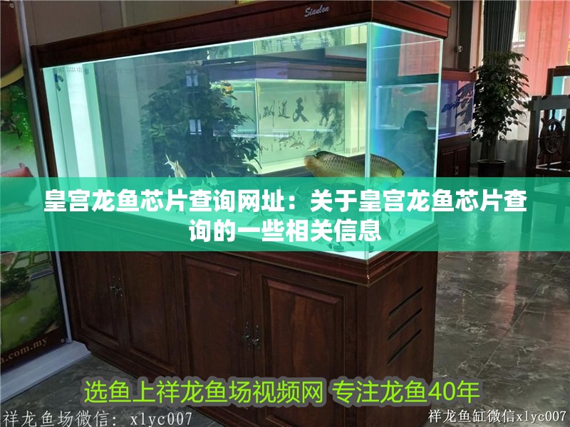 皇宮龍魚芯片查詢網址：關于皇宮龍魚芯片查詢的一些相關信息
