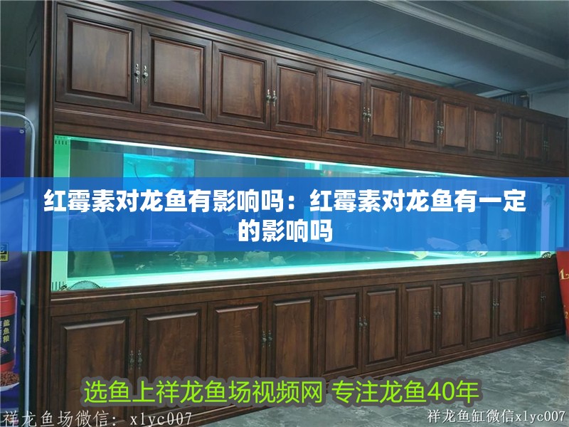 紅霉素對龍魚有影響嗎：紅霉素對龍魚有一定的影響嗎