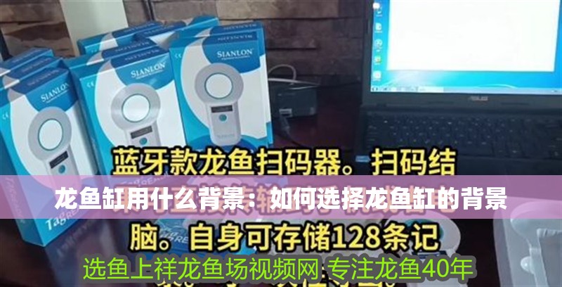 龍魚缸用什么背景：如何選擇龍魚缸的背景 龍魚缸用什么背景：如何選擇龍魚缸的背景 龍魚百科