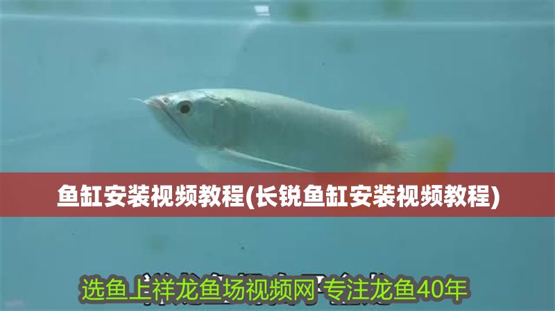 魚缸安裝視頻教程(長銳魚缸安裝視頻教程)