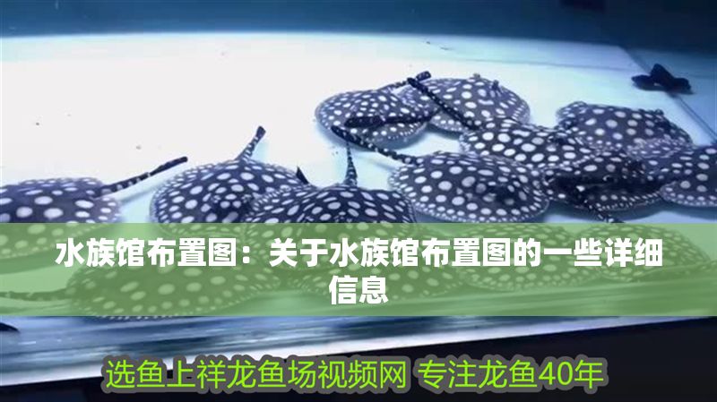 水族館布置圖：關于水族館布置圖的一些詳細信息