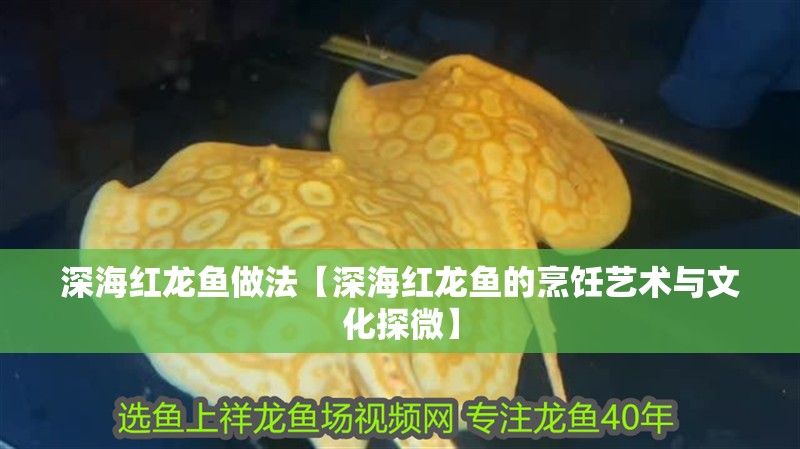 深海紅龍魚做法【深海紅龍魚的烹飪藝術(shù)與文化探微】