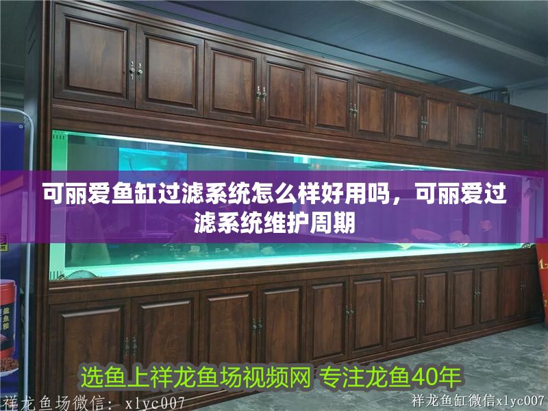 可麗愛魚缸過濾系統(tǒng)怎么樣好用嗎，可麗愛過濾系統(tǒng)維護周期