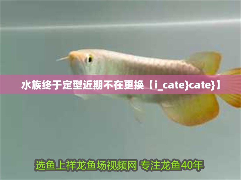 水族終于定型近期不在更換【i_cate}cate}】