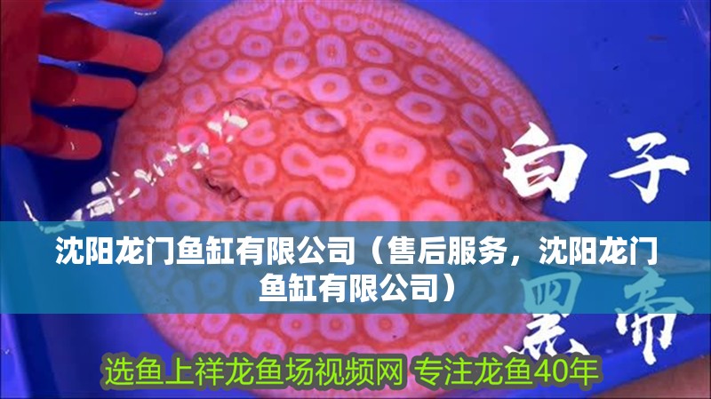 沈陽龍門魚缸有限公司（售后服務，沈陽龍門魚缸有限公司）