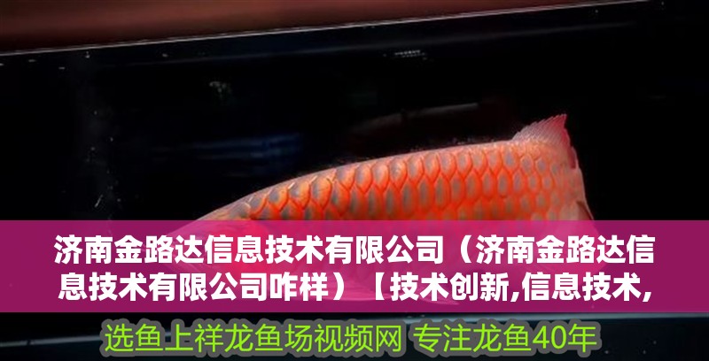 濟南金路達信息技術有限公司（濟南金路達信息技術有限公司咋樣）【技術創新,信息技術,濟南金路達信息技術有限公司】