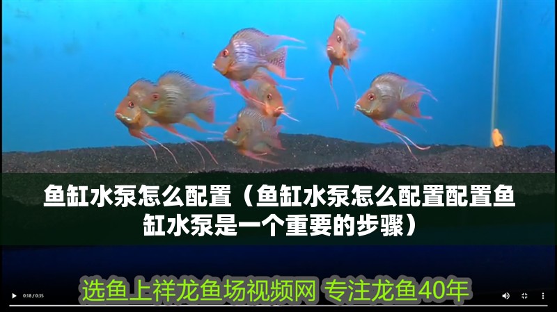 魚(yú)缸水泵怎么配置（魚(yú)缸水泵怎么配置配置魚(yú)缸水泵是一個(gè)重要的步驟）