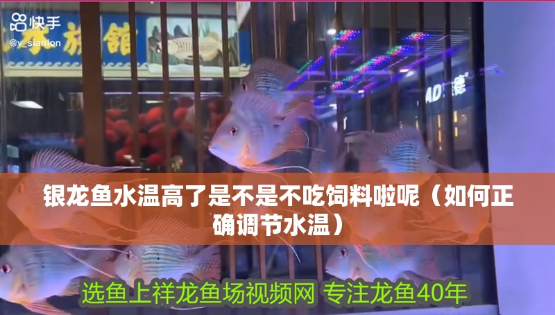 銀龍魚水溫高了是不是不吃飼料啦呢（如何正確調節水溫）