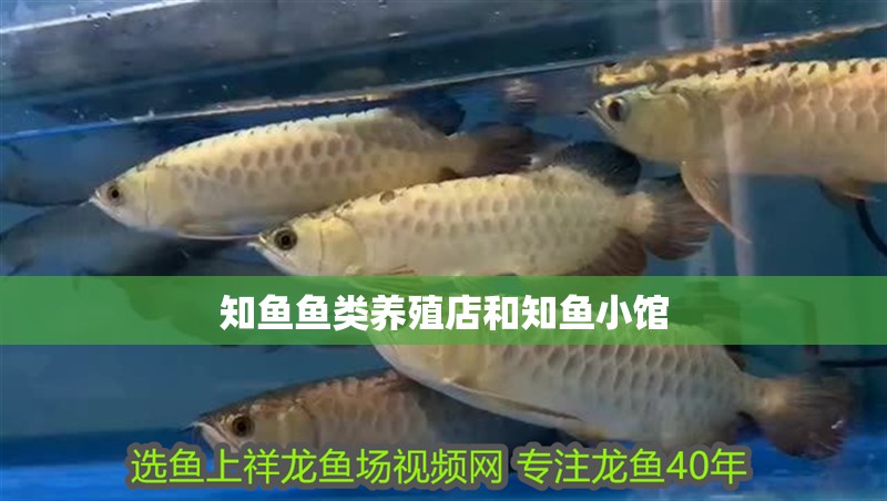 知魚魚類養殖店和知魚小館