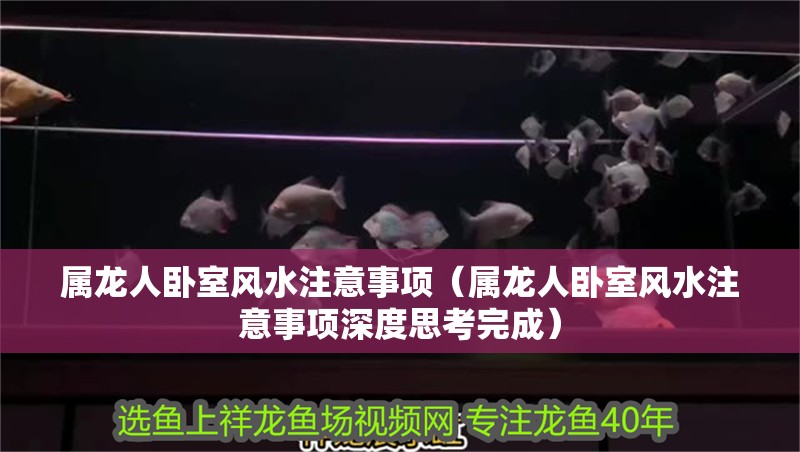 屬龍人臥室風水注意事項（屬龍人臥室風水注意事項深度思考完成）