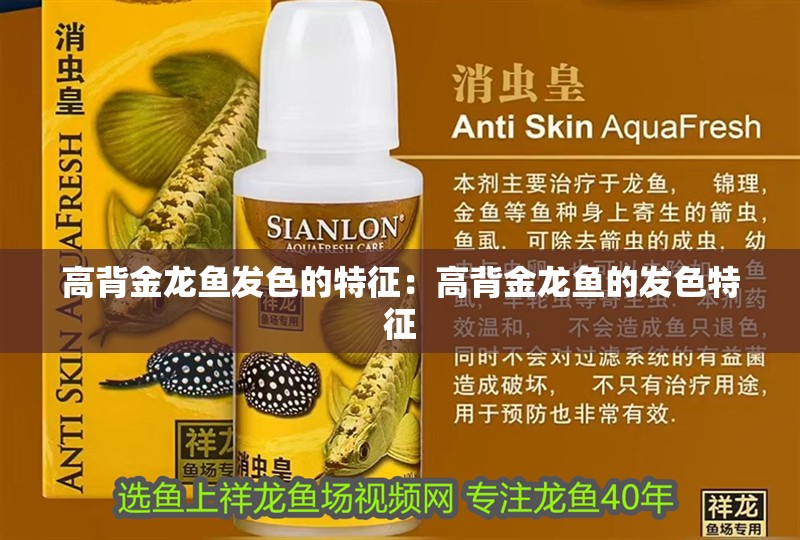高背金龍魚發(fā)色的特征：高背金龍魚的發(fā)色特征