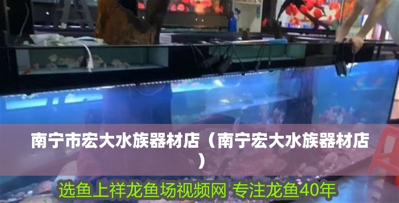 南寧市宏大水族器材店（南寧宏大水族器材店） 南寧市宏大水族器材店（南寧宏大水族器材店） 全國水族館企業名錄