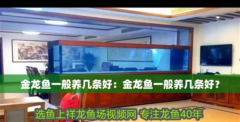 金龍魚一般養(yǎng)幾條好：金龍魚一般養(yǎng)幾條好？
