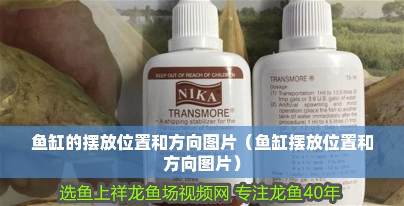 魚缸的擺放位置和方向圖片（魚缸擺放位置和方向圖片）