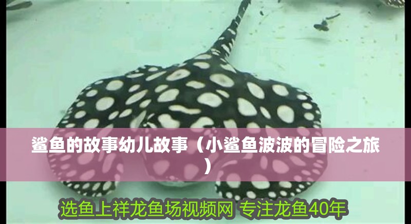 鯊魚的故事幼兒故事（小鯊魚波波的冒險(xiǎn)之旅）