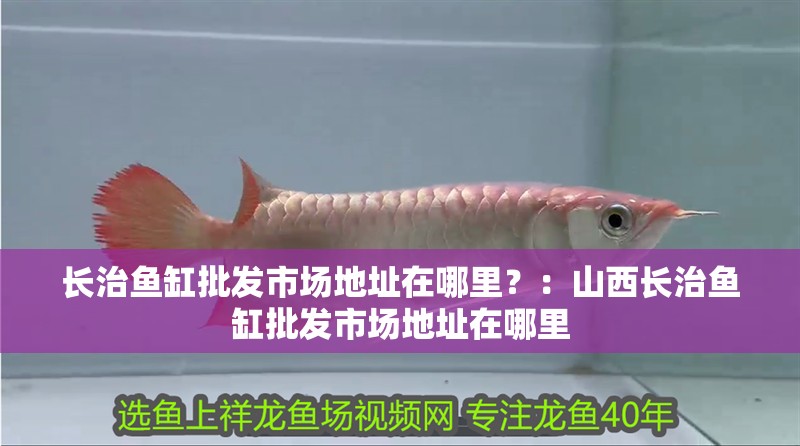 長治魚缸批發市場地址在哪里？：山西長治魚缸批發市場地址在哪里
