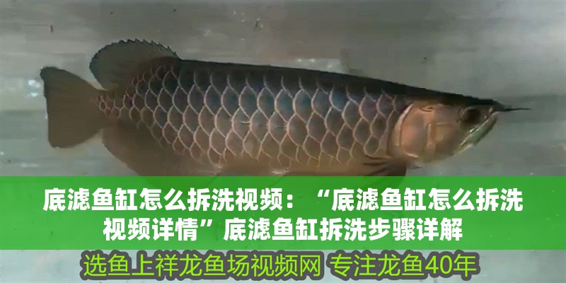 底濾魚缸怎么拆洗視頻：“底濾魚缸怎么拆洗視頻詳情”底濾魚缸拆洗步驟詳解