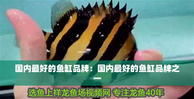 國內最好的魚缸品牌：國內最好的魚缸品牌之一