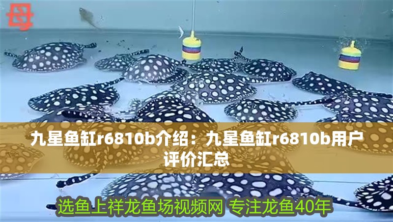 九星魚缸r6810b介紹：九星魚缸r6810b用戶評價匯總