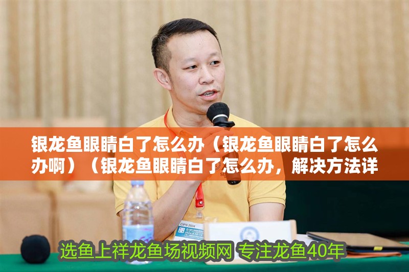 銀龍魚眼睛白了怎么辦（銀龍魚眼睛白了怎么辦啊）（銀龍魚眼睛白了怎么辦，解決方法詳解）