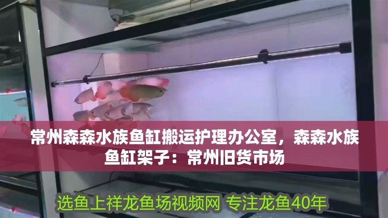 常州森森水族魚(yú)缸搬運(yùn)護(hù)理辦公室，森森水族魚(yú)缸架子：常州舊貨市場(chǎng)