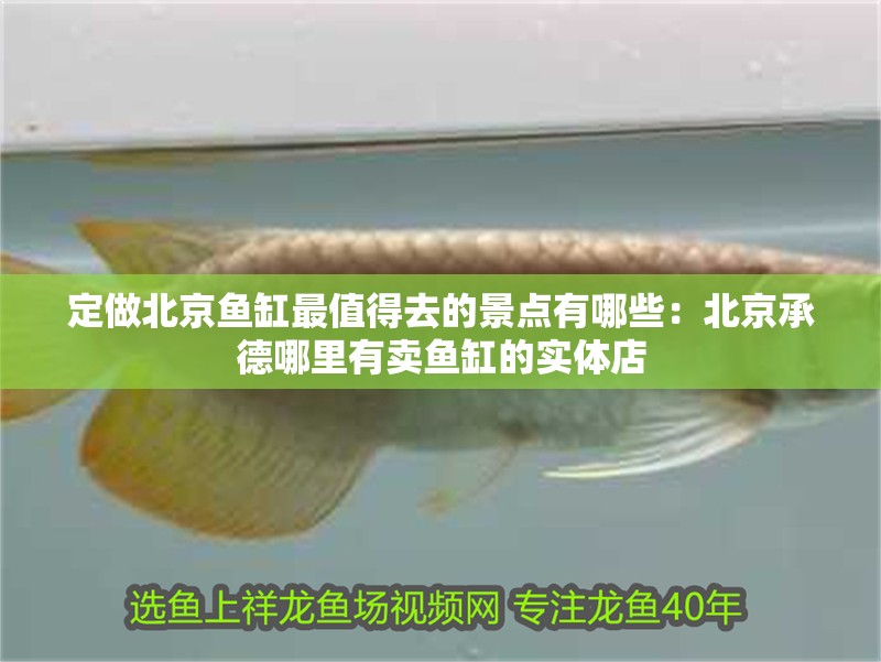 定做北京魚(yú)缸最值得去的景點(diǎn)有哪些：北京承德哪里有賣(mài)魚(yú)缸的實(shí)體店