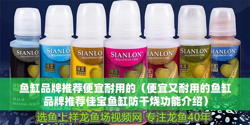 魚缸品牌推薦便宜耐用的（便宜又耐用的魚缸品牌推薦佳寶魚缸防干燒功能介紹）