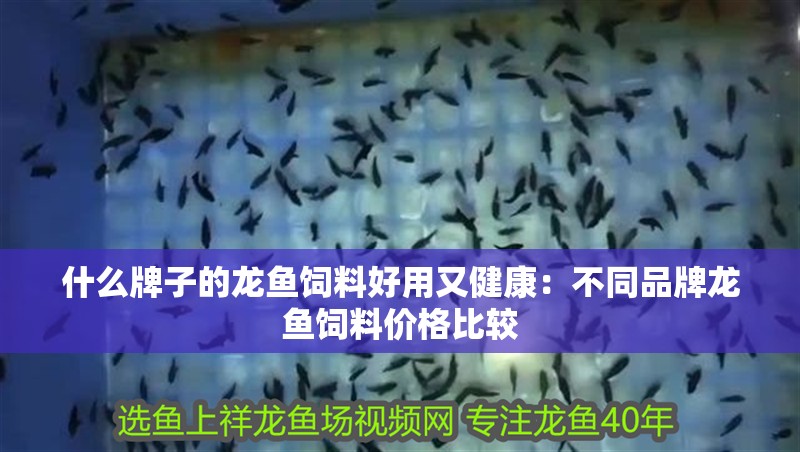 什么牌子的龍魚飼料好用又健康：不同品牌龍魚飼料價格比較