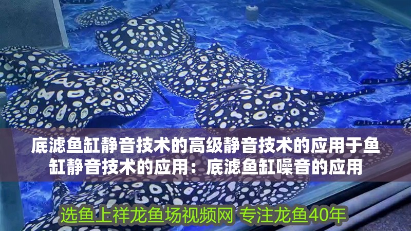 底濾魚缸靜音技術(shù)的高級靜音技術(shù)的應(yīng)用于魚缸靜音技術(shù)的應(yīng)用：底濾魚缸噪音的應(yīng)用