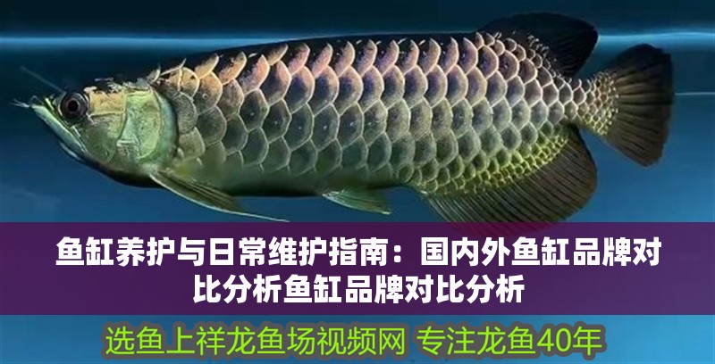 魚缸養(yǎng)護(hù)與日常維護(hù)指南：國(guó)內(nèi)外魚缸品牌對(duì)比分析魚缸品牌對(duì)比分析