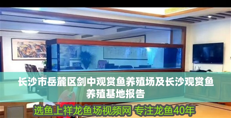 長沙市岳麓區劍中觀賞魚養殖場及長沙觀賞魚養殖基地報告