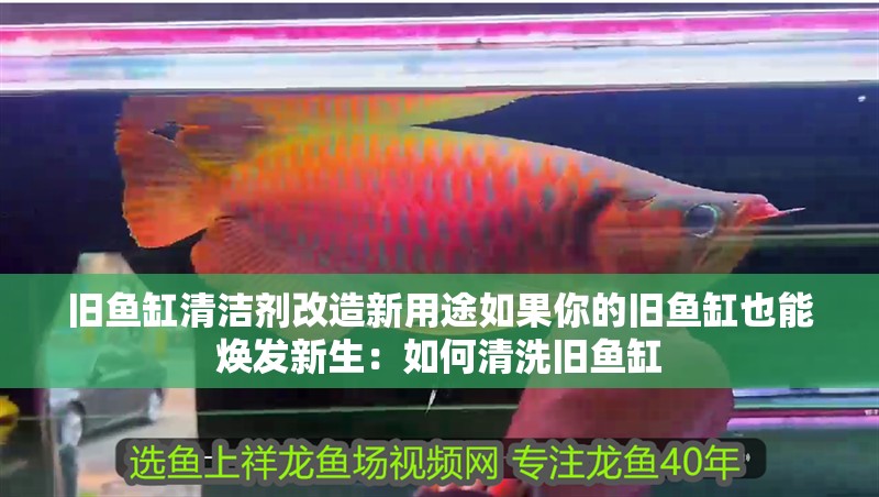 舊魚缸清潔劑改造新用途如果你的舊魚缸也能煥發新生：如何清洗舊魚缸 舊魚缸清潔劑改造新用途如果你的舊魚缸也能煥發新生：如何清洗舊魚缸 魚缸百科