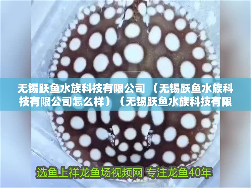 無錫躍魚水族科技有限公司 （無錫躍魚水族科技有限公司怎么樣）（無錫躍魚水族科技有限公司） 無錫躍魚水族科技有限公司 （無錫躍魚水族科技有限公司怎么樣）（無錫躍魚水族科技有限公司） 全國水族館企業(yè)名錄