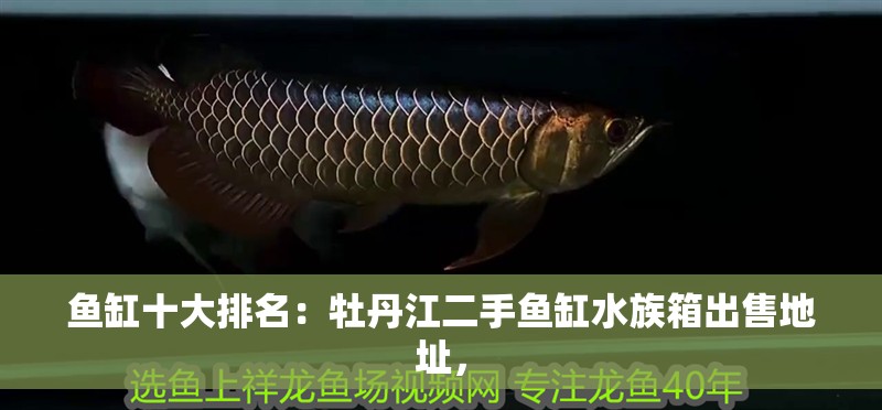 魚缸十大排名：牡丹江二手魚缸水族箱出售地址，