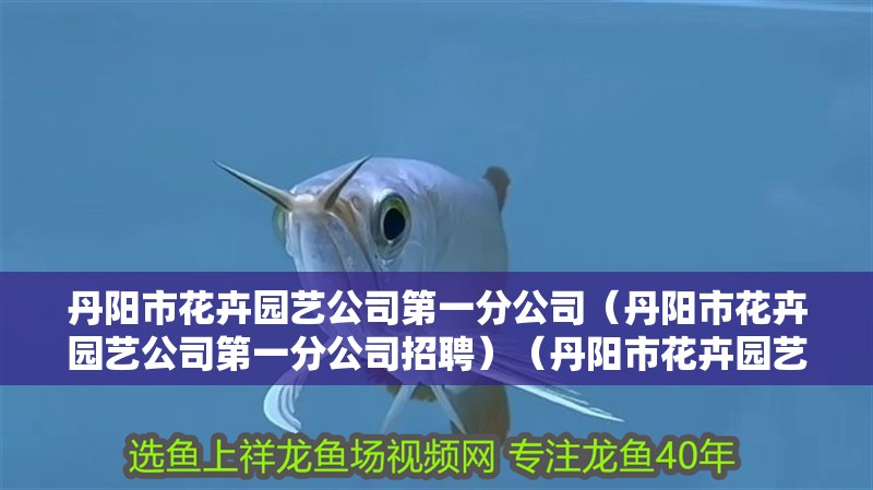 丹陽市花卉園藝公司第一分公司（丹陽市花卉園藝公司第一分公司招聘）（丹陽市花卉園藝公司招聘）